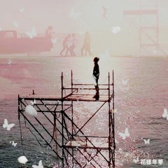 방탄소년단 - Butterfly string ver(by.방피커)