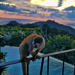 Deep House Summer Mix