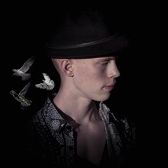 Ethan Lamb: Lyrebird Status - featuring RJ (Single)