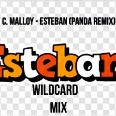 C. Malloy - Esteban (Panda Remix)