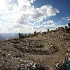 No Viajes Con Miedo - AM