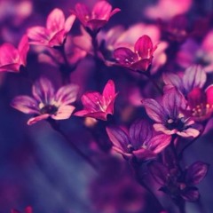 I'D STILL SAY YES_Klymaxx _own rendition_veNus2910