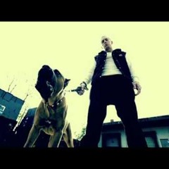 Eminem - Devil's Night Intro (Brainless Remix)