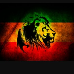 Socialistsoundz Mixtape series Roots & Riddimz