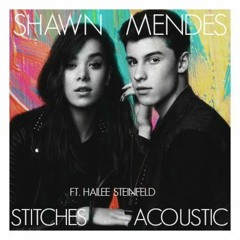 Stitches - Shawn Mendes feat. Hailee Steinfield (Cover)
