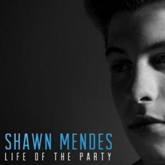 Life Of The Party - Shawn Mendes (Cover)