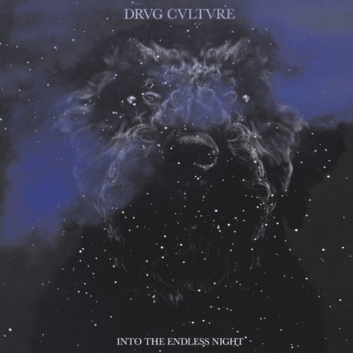 PREMIERE : Drvg Cvltvre - Into The Endless Night