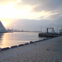 dear future tamamie_remix[coalter of the deepers]