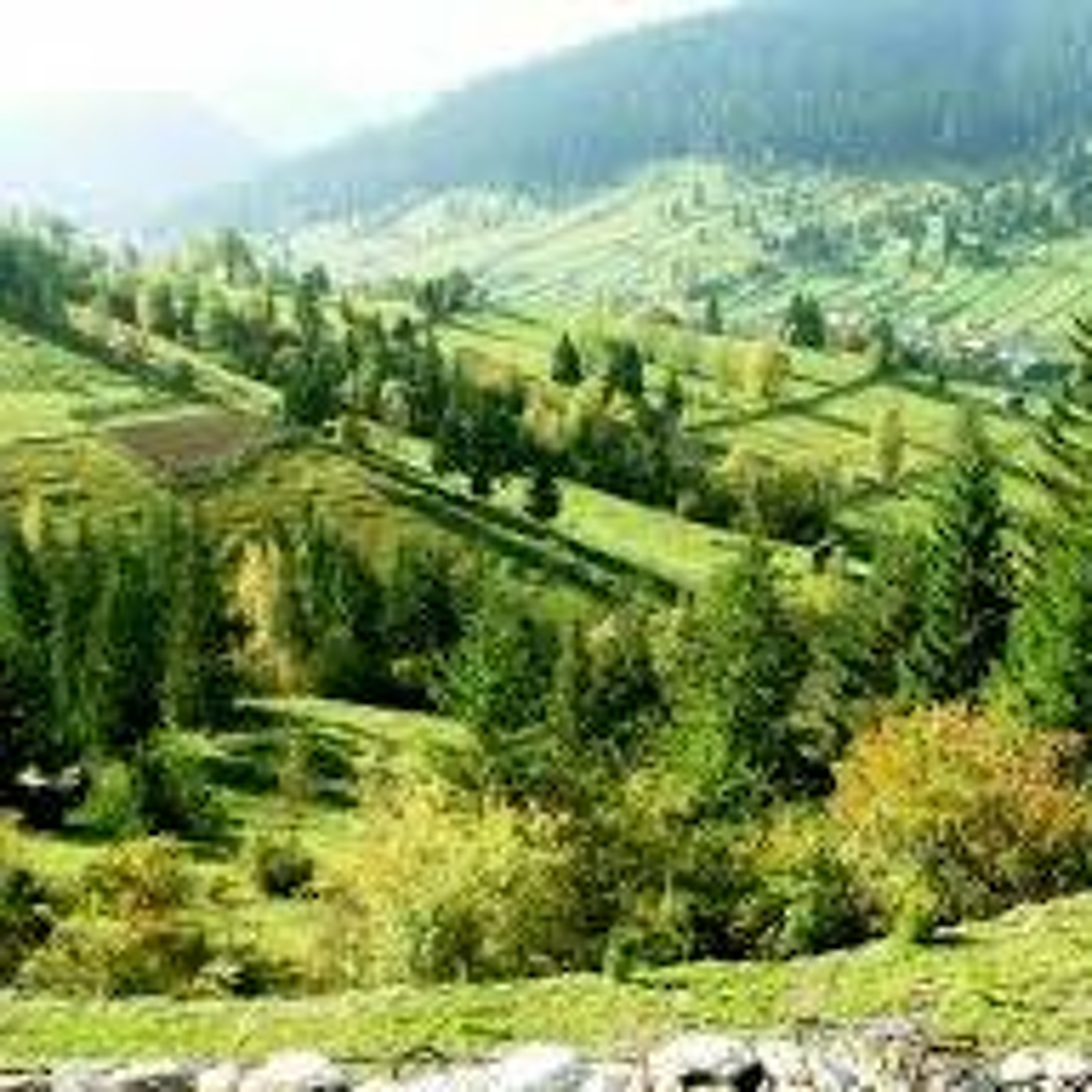 Bucovina episode artwork