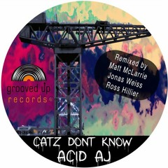 ACID AJ - CATZ DON'T KNOW (original mix) OUT NOW