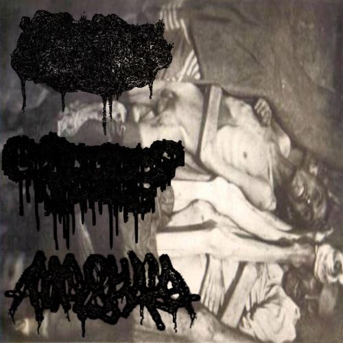 Anal Shake - Untitled Tracks