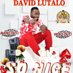 So Nice- David Lutalo (2015)