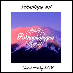 Pornotape N°11 By Pornophonique X DFLV