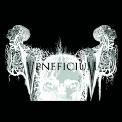 Veneficium - Mordant Photism Above Cathedrals Of Ash