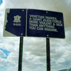 Venetian Snares - A Giant Alien Force More Violent & Sick Than Anything You Can Imagine - 01 A Giant Alien Force More Violent & Sick Than Anything You Can Imagine.mp3