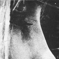 Crystalline Structures - quantum25988