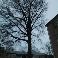 24 hours to live // autumn fall mixtape( promo only )