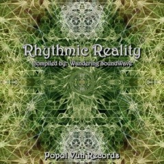 Plankton - Lux Ab Chao (V.A. Rhythmic Reality) (202)