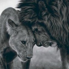 Beautiful Woman - Starchasers