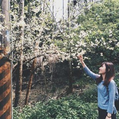 彈唱(Acoustic Cover)