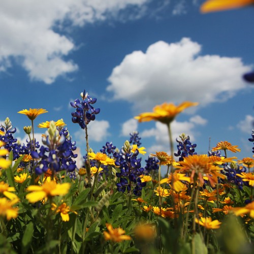 fresℎ. daily 03.05.2016