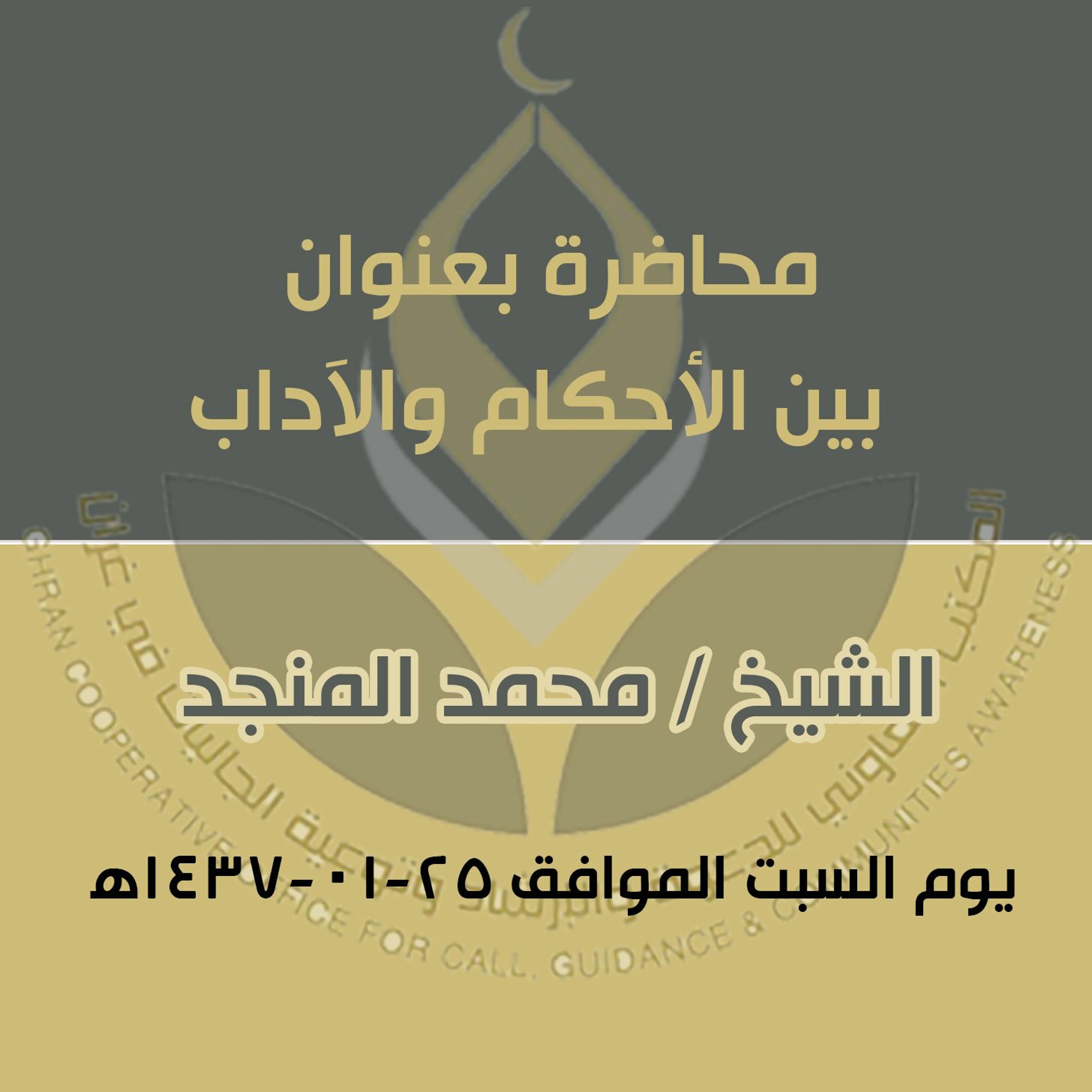 بين الأحكام والآداب - الشيخ محمد المنجد