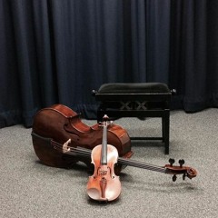 Eine Kleine Nachtmusik 1st Movement - Mozart