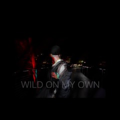 WFT On My Own - (Prod. PaperFallBros)
