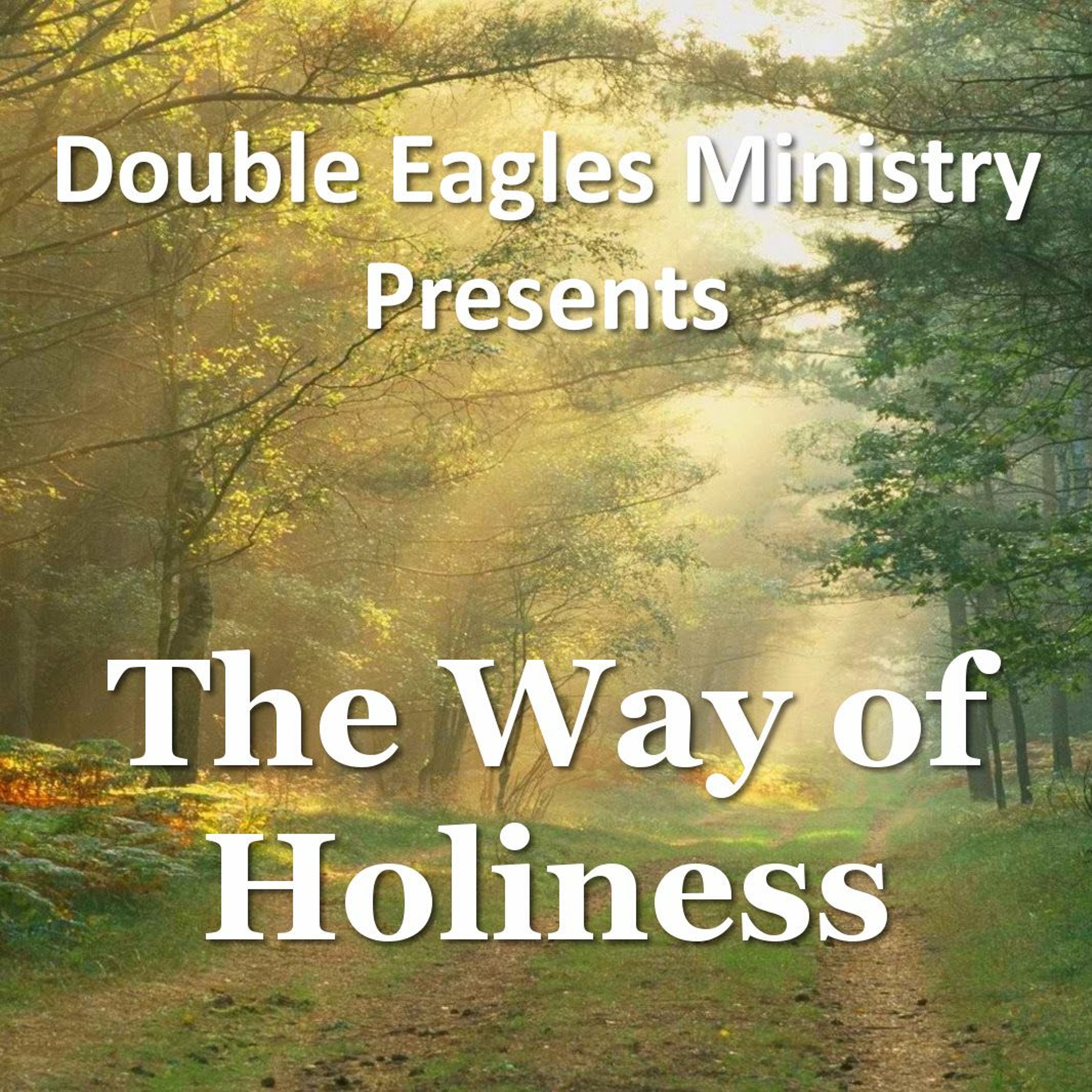 The Way Of Holiness episode artwork