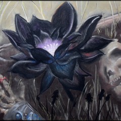 Black LOTUS