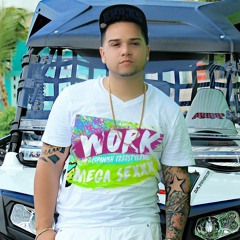 MEGA XxX - WORK (Spanish Version)