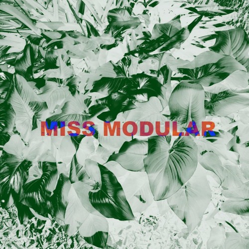 MISS MODULAR #11 | Maral