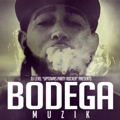 DJ LEVEL PRESENTS - BODEGA MUZIK