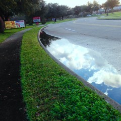 11 - What Is This - 3 - 4-16