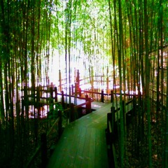 The Labyrinth (Edit)