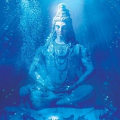Psy Chill Goa Progressive