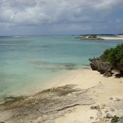 スカートの砂（CoverMix) / UA