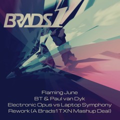 Flaming June - BT & Paul van Dyk Electronic Opus vs Laptop Symphony Rework (Brads1 TXN Mashup Deal)