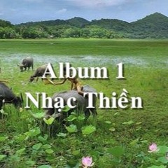 Tuyển Tập Nhạc Thiền Phật Giáo Hay NHất