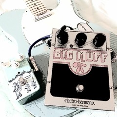 TeleMUFFter