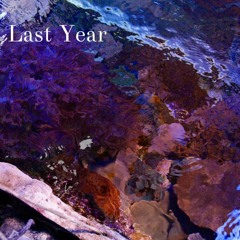 Last Year