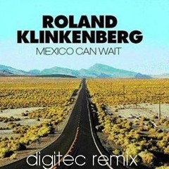 Roland Klinkenberg Feat. DJ Remy - Mexico Can Wait (digitec re-edit)