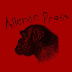 Mixtape - Allende Press