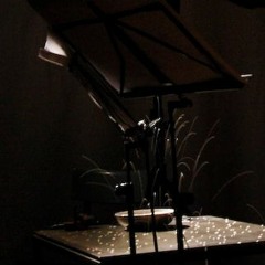 In a room..  [violin: Barbara Lüneburg]