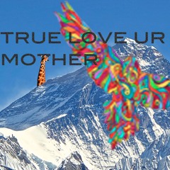 ede - Fcking Animals Stole My Pocket