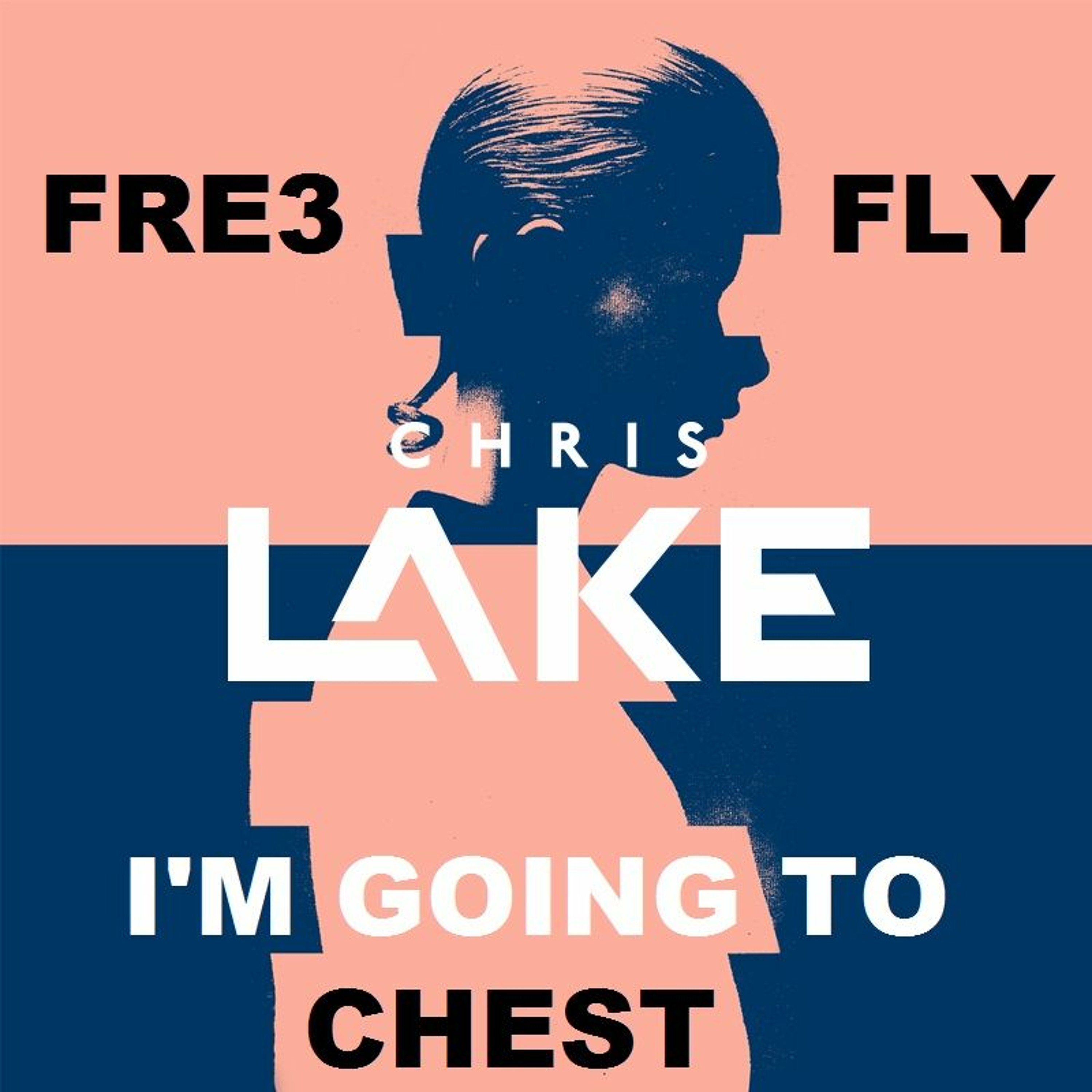 FRE3 FLY