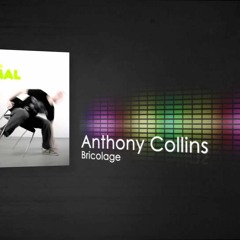 Anthony Collins - Bricolage Original Mix
