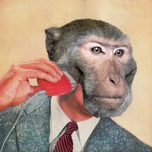 Spaow - Reverse Life