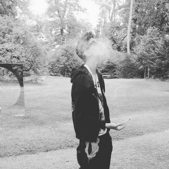 Gras macht Spass II Dope make fun