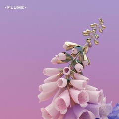 Flume Skin LP Edit